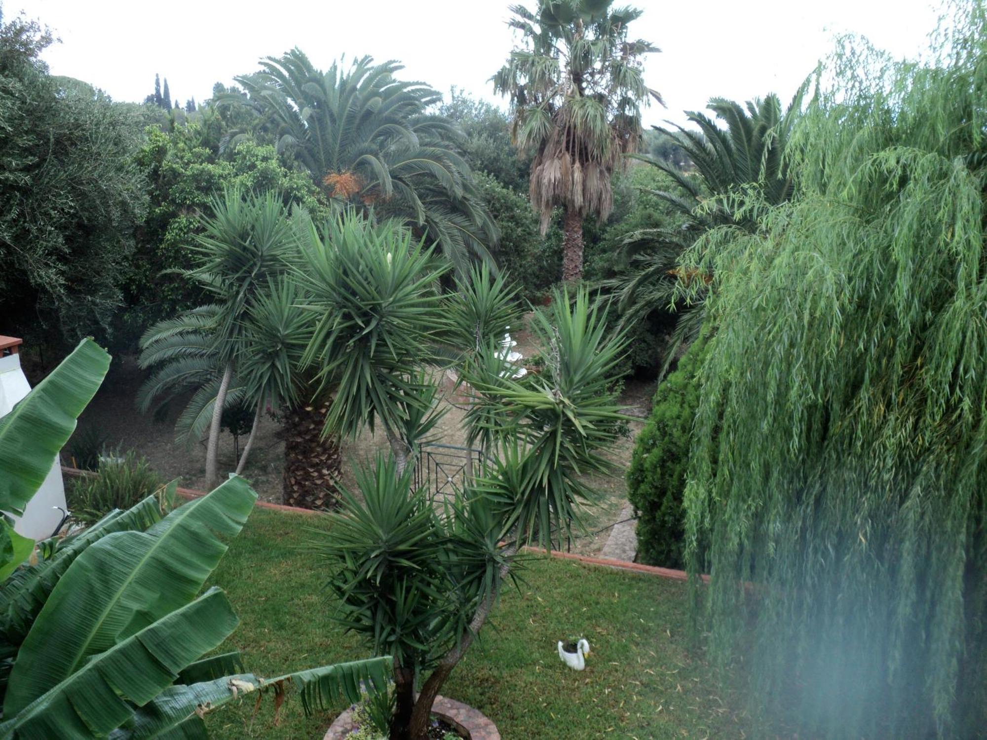Appartement Anastasis Trapezaki (Kefalonia)