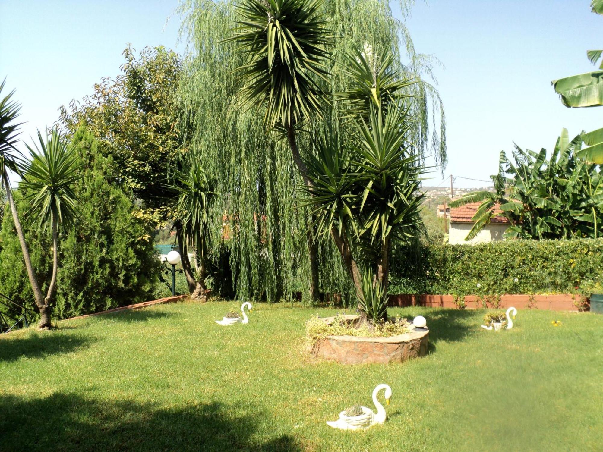 Anastasis Trapezaki (Kefalonia)
