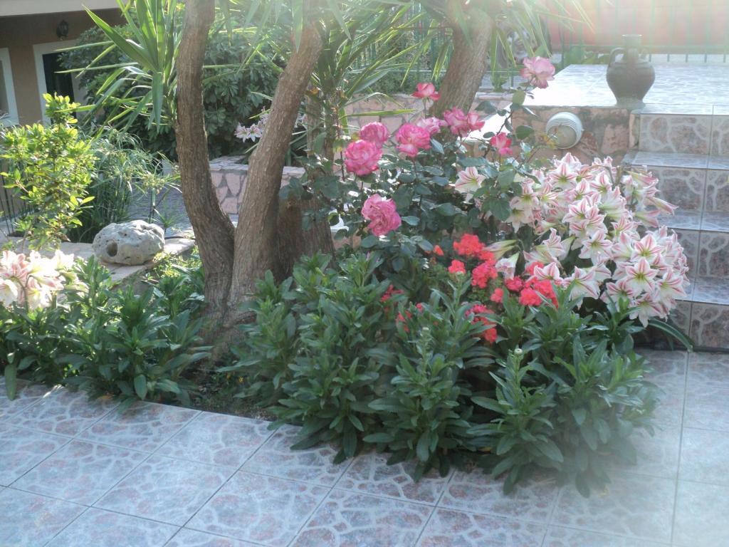 Anastasis Appartement